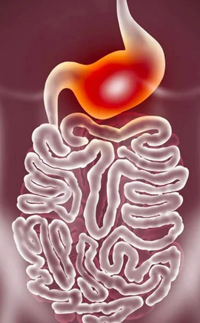 Dra. Viridiana Rodríguez Granados Especialista en Gastroenterología y Hepatología
