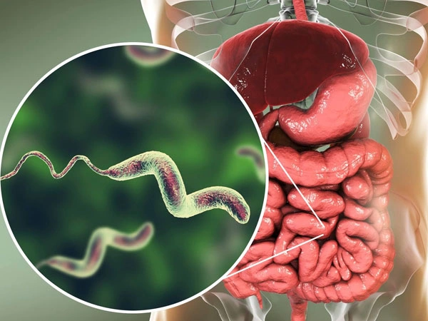 Dra. Viridiana Rodríguez Granados Especialista en Gastroenterología y Hepatología